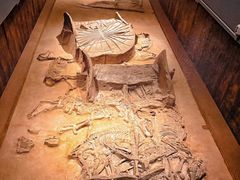 -北京大葆台遗址博物馆