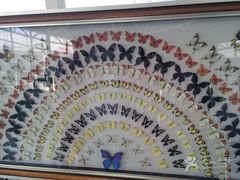 -蓬莱欧乐堡梦幻世界