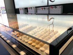 -BLACKSWAN黑天鹅(环球店)