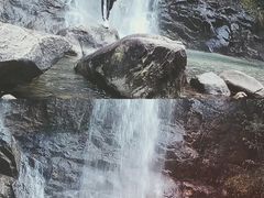 -九龙江国家森林公园