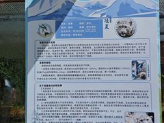 -青藏高原野生动物园