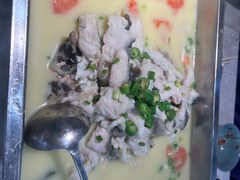 -洞庭家宴·头牌甲鱼(广渠门店)