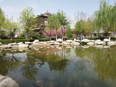 -西安青龙寺遗址景区