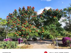 -亚龙湾国际玫瑰谷