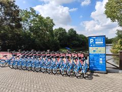 -上海海湾国家森林公园