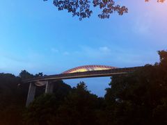 -亨德森波浪桥