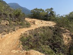 -梧桐山风景名胜区