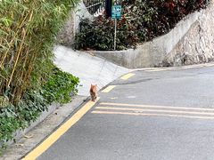 -广州市白云山风景名胜区
