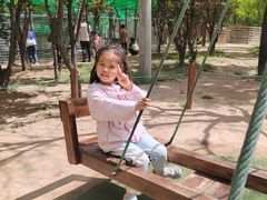 -圣露庄园·露营·烤肉·亲子