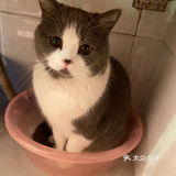 像这样？我家主子的高萌瞬间