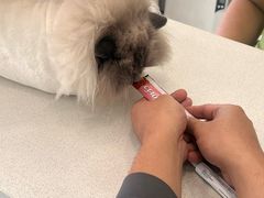 -艾吉宠物医院·疑难杂症转诊中心·猫友好(碧江路院)