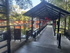 -侨美·唐荔园·40年地道粤菜