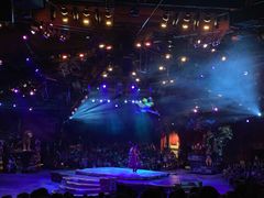 -奥兰多迪士尼动物王国乐园