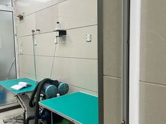 -北京观赏动物医院·24小时大型综合·猫专科·异宠专科