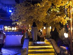 -淀里船宴(裕华东路店)