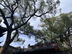 -普陀山风景名胜区-法雨禅寺