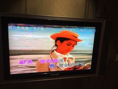 刘德华vs陈嘉露-相依相恋-环球梦主题KTV(曲阳生活购物中心店)
