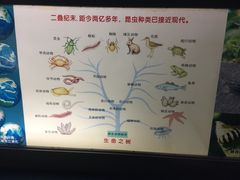 -上海昆虫博物馆