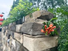-南京城墙景区