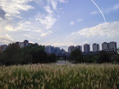 -咸阳湖景区