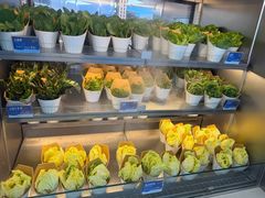 -海底捞大排档火锅(打浦路店)