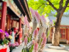 -潭柘寺景区