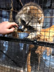 -酷嗒动物文化乐园(cutezoo西溪乐天城店)