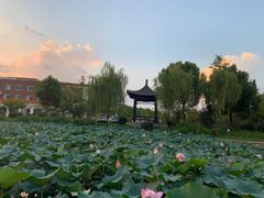 -扬州大学(扬子津校区)