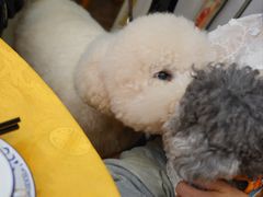 -大戚饭店(泰华路店)