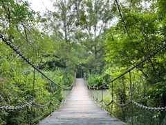 -桤木河湿地公园