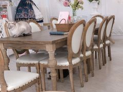 大堂-共舞时光猫咖·狗咖(新街口店)