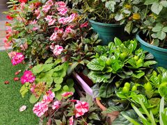 -山水茶艺馆·点心粤菜·30年老字号