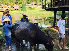 -四季酒店下午茶