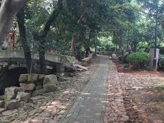 -雨花胜境