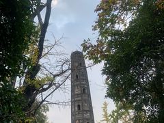 -上海佘山国家森林公园天马山园