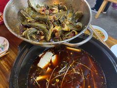 -金海椒罐罐鲢鱼(东方桂苑店)