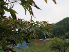 -南通濠河风景名胜区