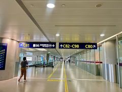 -上海浦东国际机场-T2航站楼