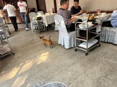 -东江渔村·古典园林·30年粤菜老字号(太和店)
