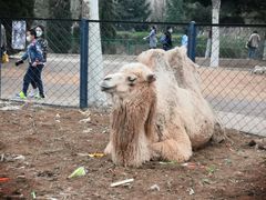 -长白岛森林公园