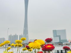 -海心沙亚运公园