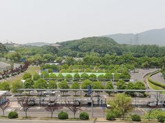 -狮麟驾校