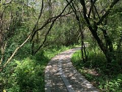 -悠然山高山湿地景区悠然自得庭
