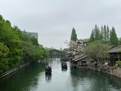 -乌镇西栅景区