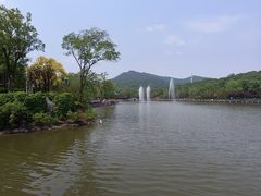 -北宫国家森林公园