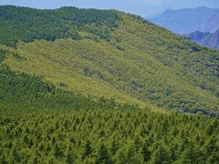 -白草畔自然风景区