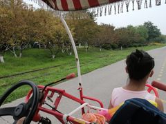 -永定河休闲森林公园