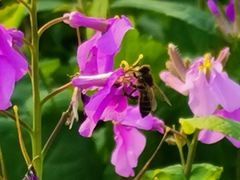 -白塘生态植物园