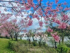 -福建鲤鱼洲酒店