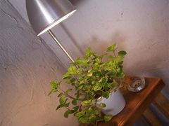 -Babycat私家御饼屋(龙头路一店)